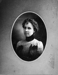 stella